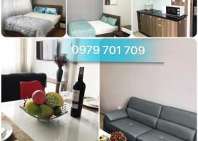 Còn một căn hộ duy nhất giá 17 triệu 2 phòng ngủ đủ nội thất tại đô thị Đại Quang Minh, quận 2 1730873
