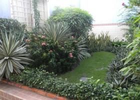 Cho thuê penthouse chung cư Tôn Thất Thuyết có khu vườn, 13 triệu/th 1734494