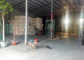 Cho thuê kho xưởng đường Mã Lò, Quận Bình Tân, DT 500m2, tiện chứa hàng, LH 0909772186 Minh  1757982