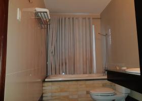 Cho thuê căn hộ dịch vụ với nhiều diện tích lựa chọn trong KĐT Phú Mỹ Hưng Q.7 1756216