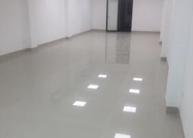 Cho thuê văn phòng khu K300 quận Tân Bình, DT 39m2-50m2-90m2 1756812