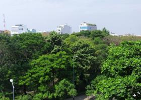 Văn phòng cho thuê quận Tân Bình, 65m2- 85m2- 160m2, view công viên cây xanh 1756814