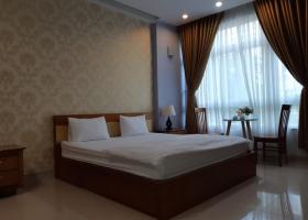 Cho thuê căn hộ mini cao cấp đầy đủ tiện nghi khu Phú Mỹ Hưng (Q7) 1760093