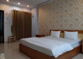 Cho thuê căn hộ mini cao cấp đầy đủ tiện nghi khu Phú Mỹ Hưng (Q7) 1760093
