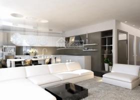 Cần cho thuê căn hộ cao cấp Panorama Phú Mỹ Hưng Q7, thiết kế 3 phòng ngủ + 2WC. DT 146m2 1771641