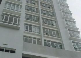 Cho thuê căn hộ Ngọc Phương Nam Q8.110m,3pn,nội thất cơ bản,11tr/th Lh 0932 204 185 1784289