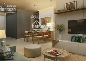 Chuyên cho thuê căn hộ CC Sky Garden 1,2,3 nhà đẹp giá rẻ full nội thất. LH: 0914241221 1791144