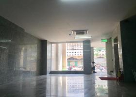 Văn phòng mới, cho thuê tại Lê Thạch quận 4, 50m2, giá cạnh tranh 1791511