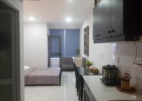 Cho thuê căn hộ OT Sunrise City view Q7 37m2 full nội thất 12tr. 1801968