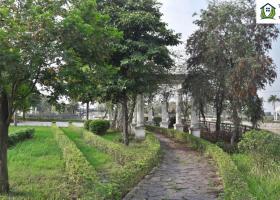 Lý giải sức hút của biệt thự Vườn Cam Vinapol-Orange Garden 1837923