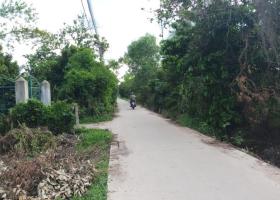 Chính chủ cần bán đất tại Đường Hương lộ 2, Xã Tam An, Huyện Long Thành, Đồng Nai 1842736