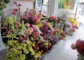 Chính chủ cần san nhượng Shop hoa khô tại Nhật Tảo Quận 10 TP HCM 1861669