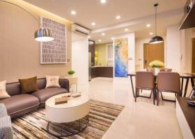 Cho thuê căn hộ chung cư Tân Hương Tower 74m2, 2PN, cho thuê 9 triệu/tháng,LH 0977563016 1871403