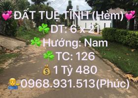 SO 2 (TUE TINH) 1875568