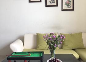 Chuyên cho thuê căn hộ Phú Thạnh, DT 100m2, 3PN, giá 10.5tr/th, LH: 0906881763 1884860