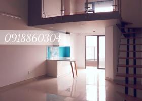 Cho thuê căn hộ officetel La Astoria 3, 1PN, có lững, bancon. Giá 7,5 triệu/th. Lh 0918860304 1900503