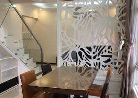 Cho thuê Penthouse Sky Garden 3, DT 295m2, nội thất cao cấp 3 phòng ngủ 3 toilet Lh: 0919024994 Thắng 1945822