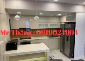 Cần cho thuê  căn hộ cao cấp Phú mỹ Hưng Quận 7 giá cực tốt nhà mới bao đẹp. 0919024994. 1948453