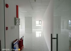CHO THUÊ MẶT BẰNG LÀM VĂN PHÒNG TÒA NHÀ LUXCITY NGAY TRUNG TÂM QUẬN 7 1970781
