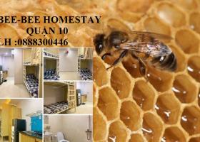 Bee.Bee Homestay  Quận 10 Dear các em Tân Sinh Viên ✍ Năm học mới  1991387