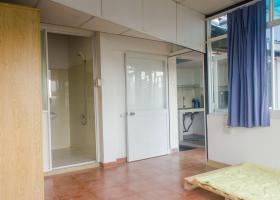 CHÍNH CHỦ CẦN CHO THUÊ CĂN HỘ TẦNG THƯỢNG - ĐỊA CHỈ: 274/7B NGUYỄN VĂN ĐẬU P.1, Q BÌNH THẠNH, 1993883