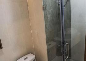 Cho thuê căn hộ cao cấp Saigon South Residence Phú Mỹ Hưng 2 Mới 100% 1994002