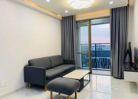 Cho thuê căn hộ cao cấp Saigon South Residence Phú Mỹ Hưng Gần Vivo City 1994063