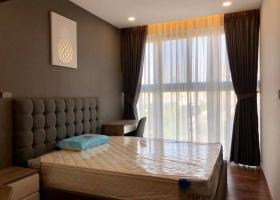 Cho thuê căn hộ chung cư Phú Mỹ Hưng Saigon South Residences, Nhà Mới 100% 1994064