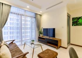 Cho thuê gấp chung cư cao cấp Phú Mỹ Hưng 2 Saigon South Residence 1994070