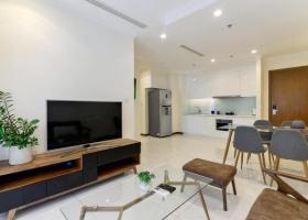 Cho thuê gấp chung cư cao cấp Phú Mỹ Hưng 2 Saigon South Residence 1994070