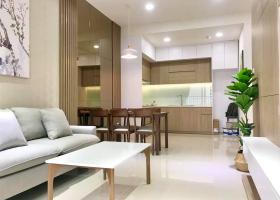 Cần cho thuê gấp căn hộ cao cấp Saigon South Residence , 2 Phòng Ngủ, Nhà Mới 100% 1995859