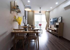 Cho thuê Saigon South Residences - của chủ đầu tư Phú Mỹ Hưng 1996027