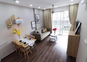 Cho thuê Saigon South Residences - của chủ đầu tư Phú Mỹ Hưng 1996027