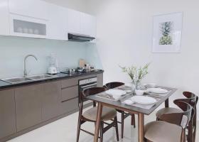 Cho thuê căn hộ cao cấp Nam Sài Gòn – Sài Gòn South Residences, Nhà Mới 100% 1996261