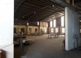 CHO THUÊ GẤP NHÀ XƯỞNG 2.500M2 MẶT TIỀN PHAN VĂN HỚN, HÓC MÔN 2001585
