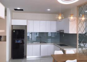 Cần cho thuê nhanh căn hộ tại chung cư cao cấp Saigon South Residence, đường Nguyễn Hữu Thọ, Phước Kiển, Nhà Bè. 2001784