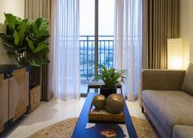 Cho thuê căn hộ Cao cấp Saigon South Residence, 2 phòng ngủ, Tặng phí quản lý 12 Triệu 2001956