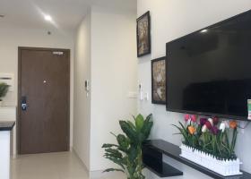 Cho thuê căn hộ chung cư tại Dự án Diamond Lotus Phúc Khang, Quận 8, Tp.HCM diện tích 60m2 giá 12 Triệu/tháng 2006067