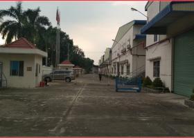 CẦN CHO THUÊ NHÀ XƯỞNG 10.000M2 TÂN THỚI NHẤT 17, QUẬN 12, GIÁ RẺ 2012158