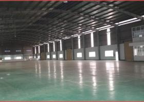 CẦN CHO THUÊ NHÀ XƯỞNG 10.000M2 TÂN THỚI NHẤT 17, QUẬN 12, GIÁ RẺ 2012158