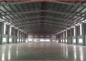 CẦN CHO THUÊ NHÀ XƯỞNG MỚI ĐƯỜNG HỒ VĂN LONG, BÌNH TÂN, DIỆN TÍCH 6.000M2 2012164