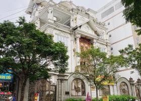 Cho thuê biệt thự đường Tân Kỳ Tân Quý, Phường Sơn Kỳ, Quận Tân Phú 2017333