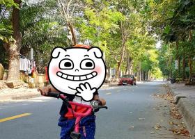 CHỈ 5TR/TH - TÔI CHÍNH CHỦ CẦN CHO THUÊ NHÀ LẦU 2,5 - CHUNG CƯ C2 ĐƯỜNG MAN THIỆN, Q9. LHCC: 2017471