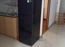 Chính chủ cho thuê căn hộ Imperial Place( 629 Kinh Dương Vương Q. Bình Tân) 2021654