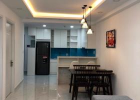 Cần cho thuê căn hộ Sài Gòn South Residence ,Phú Mỹ hưng giá rẻ 0909052673 2025328
