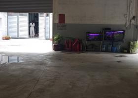 Cho Thuê Mặt Bằng Làm Kho DT 500m2 Đường Tô Ngọc Vân - TĐ Gía 30tr 2026301