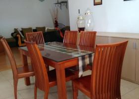 Cần cho thuê căn Hoa Sen Lotus Đ/C 262/20 Lạc Long Quân Phường 10 Quận 11,  2027057
