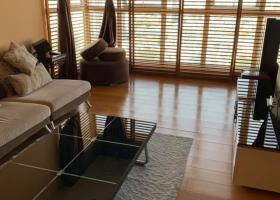 Chính chủ cần cho thuê nhanh căn hộ chung cư 312 Lạc Long Quân, Phường 5 Quâ 2027929