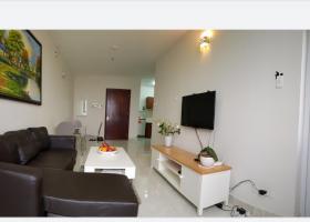 Cho thuê căn hộ chung cư tại Dự án Chung cư Thế Kỷ 21, Bình Thạnh, Tp.HCM diện tích 50m2 2028111