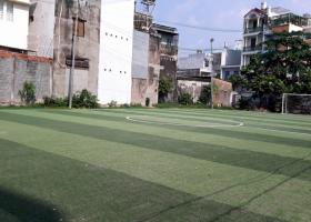 Sang sân bóng đá mini 12 người hẻm 90 Nguyễn Phúc Chu, Tân Bình, TP. hồ Chí Minh 2030935